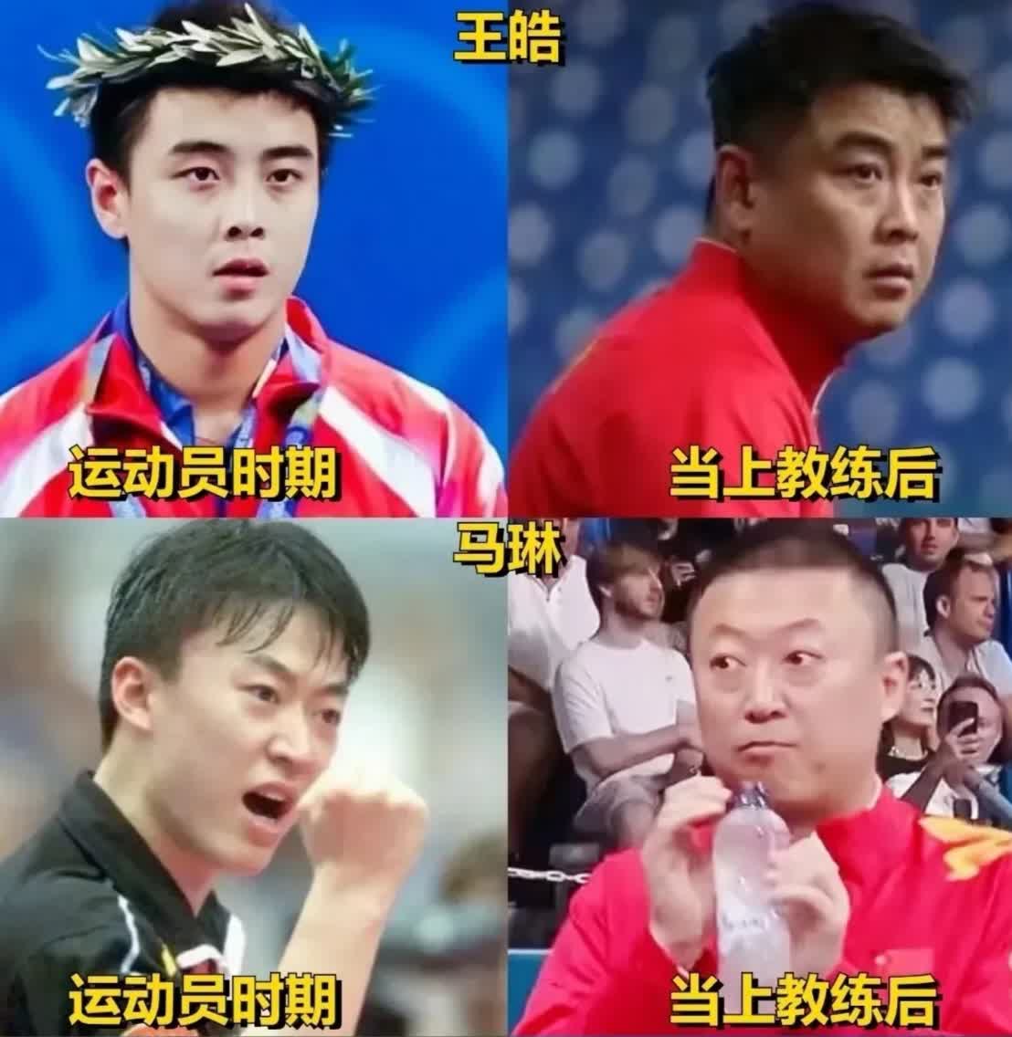 中国乒乓球队力克德国乒乓球队，王皓统治全场的简单介绍