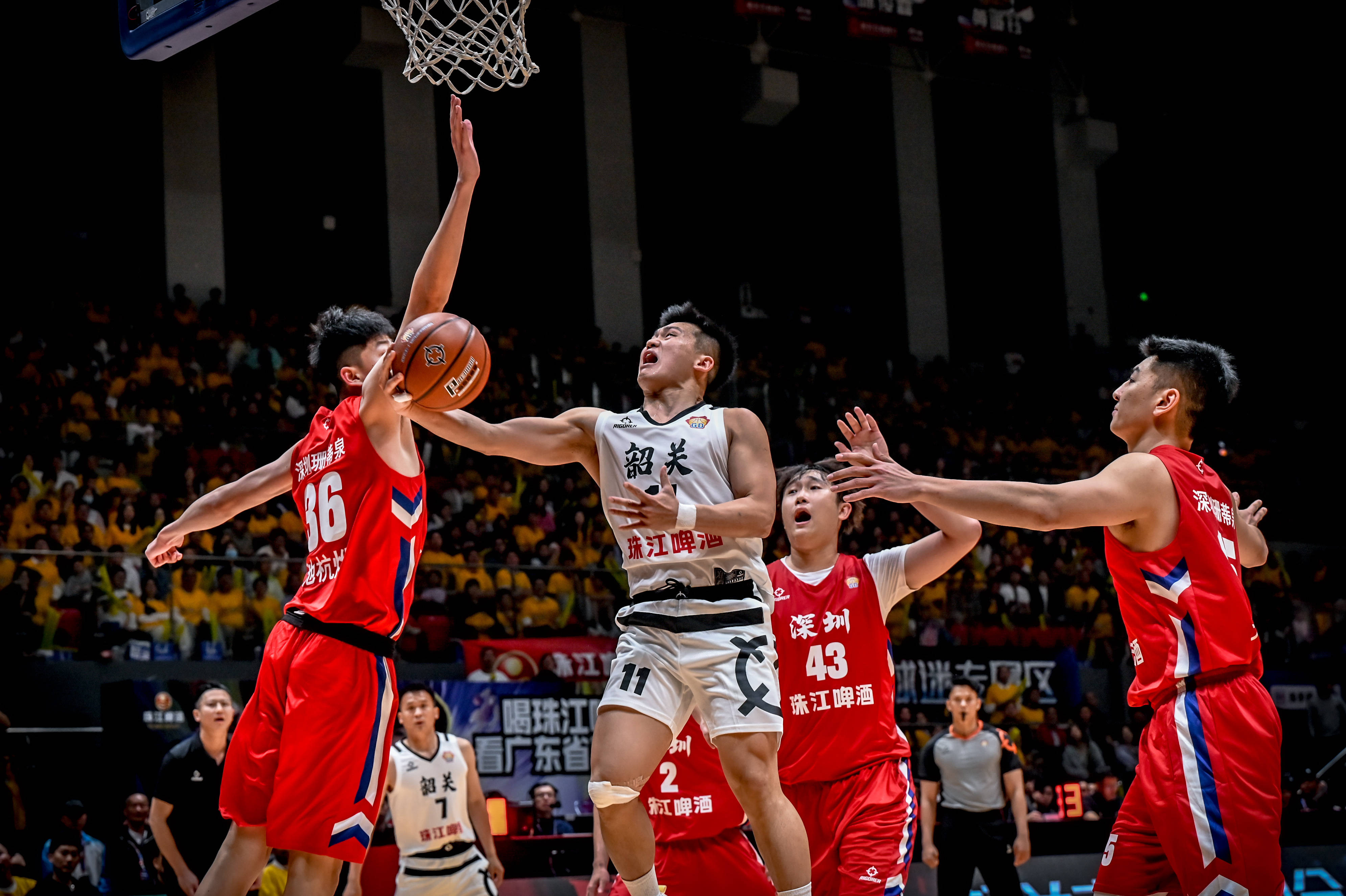 欧洲杯篮球精彩开幕，球迷热情参与支持的简单介绍