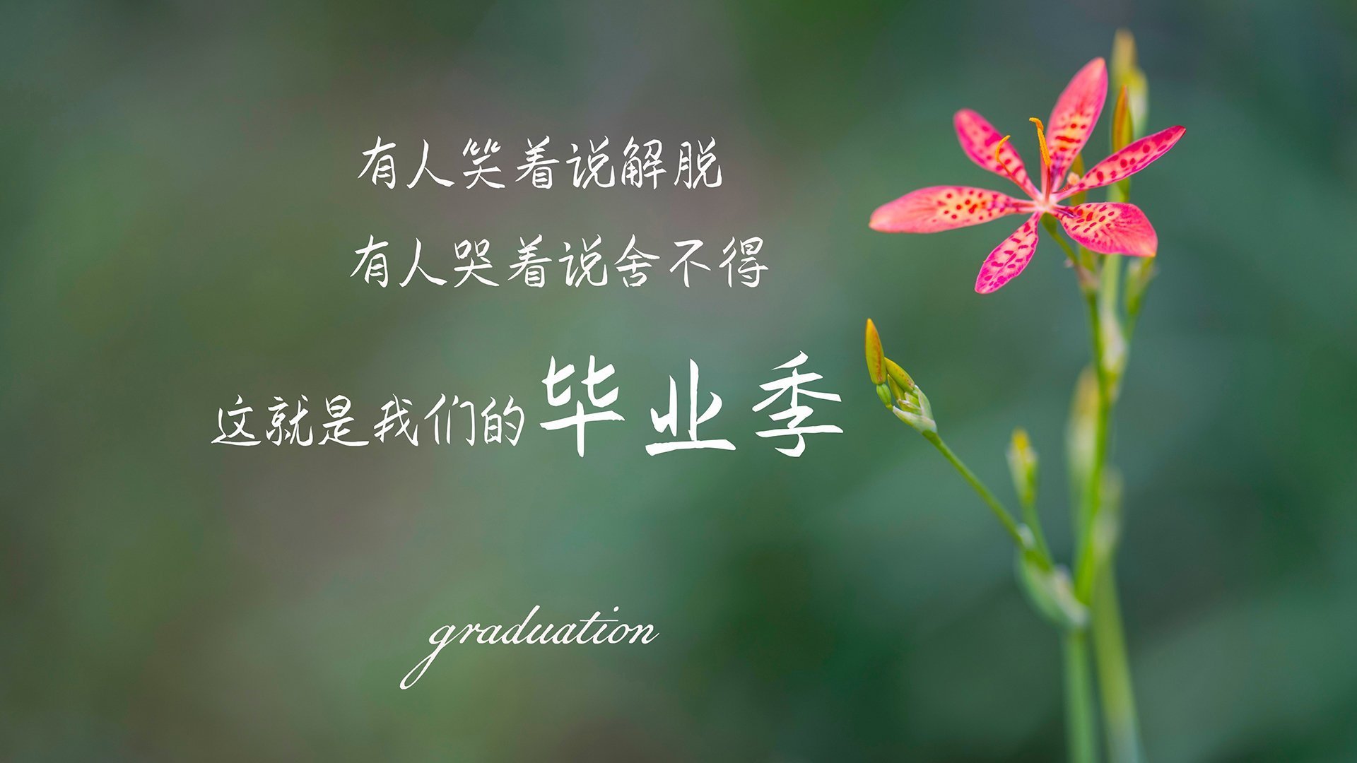 火箭争冠战胜出魔术,杜兰特硬仗之王